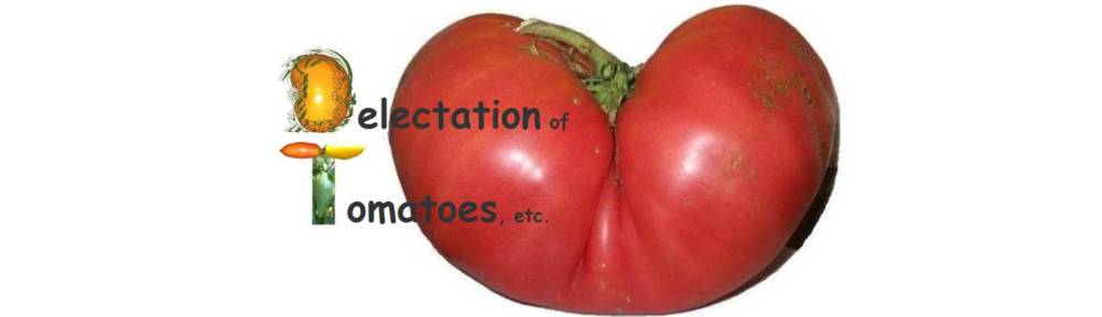 Delectation of Tomatoes, etc.